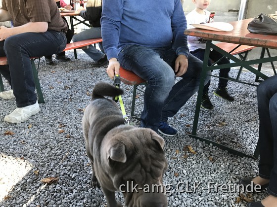 Jahresabschlusstreffen 2016 in Bergkamen