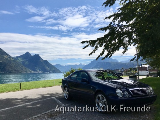 Ausflug mit CLK430: Beckenried am Vierwaldstättersee